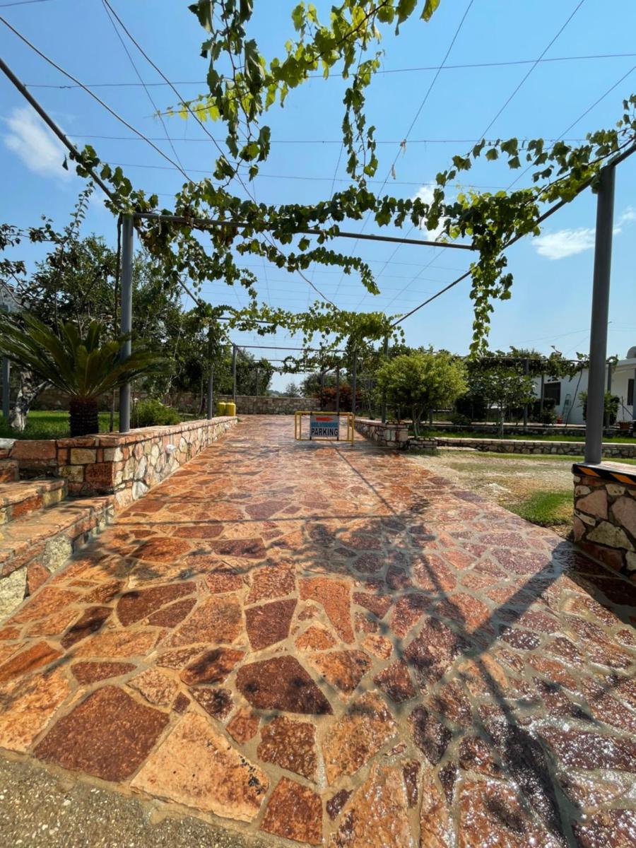 Belvedere Hotel & Suites - Housity