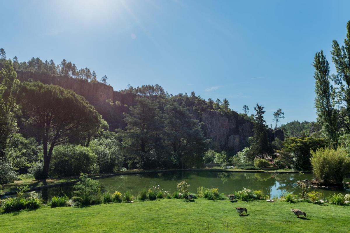 un étang dans un parc avec des canards dans l'herbe dans l'établissement Hostellerie Les Gorges De Pennafort, à Callas