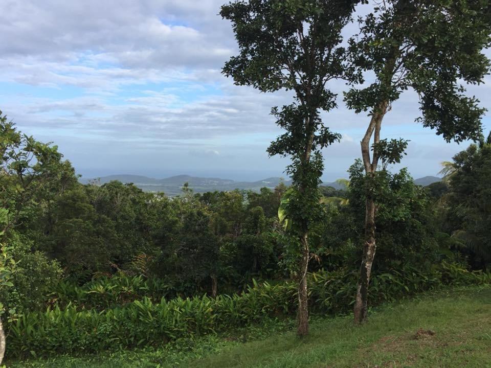 Serenity Rainforest Retreat - Housity