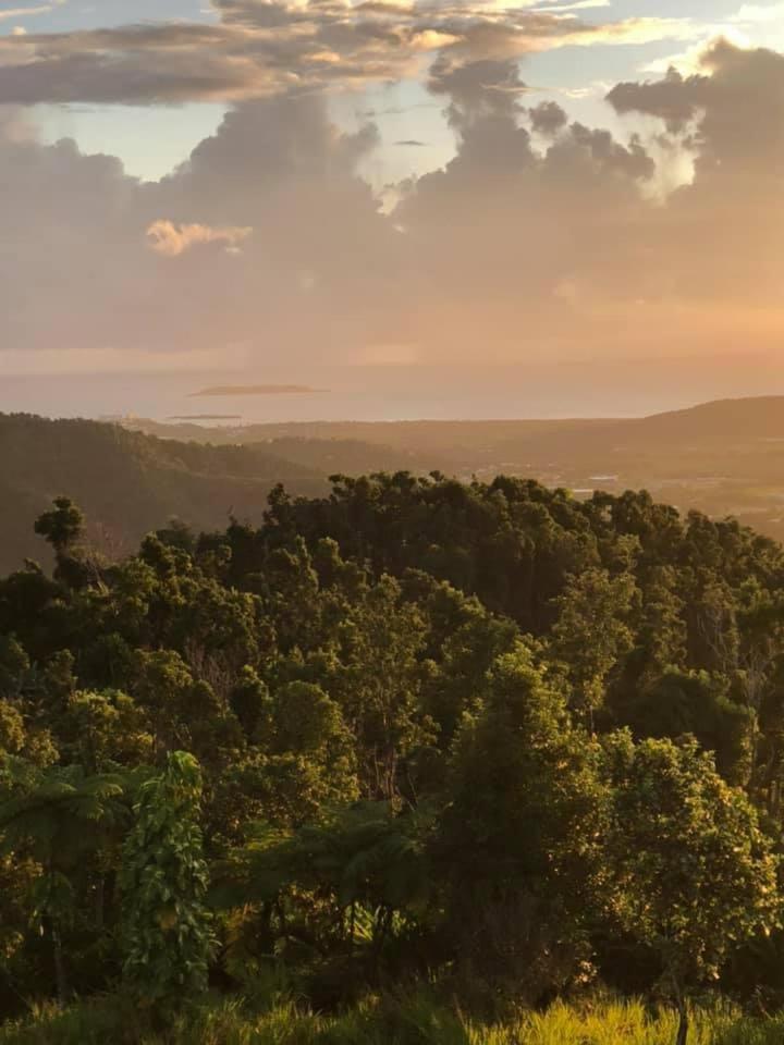 Serenity Rainforest Retreat - Housity