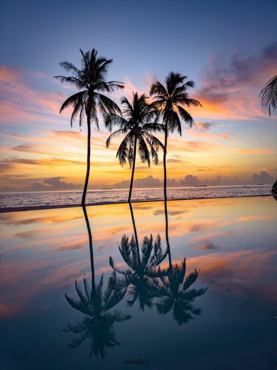Ifuru Island Resort Maldives - 24-Hours Premium All-inclusive - Housity