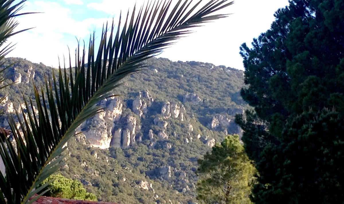 Paysage naturel près de l'hôtel
