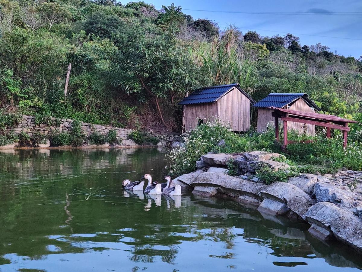 Mộc Châu Peachy Garden - Housity
