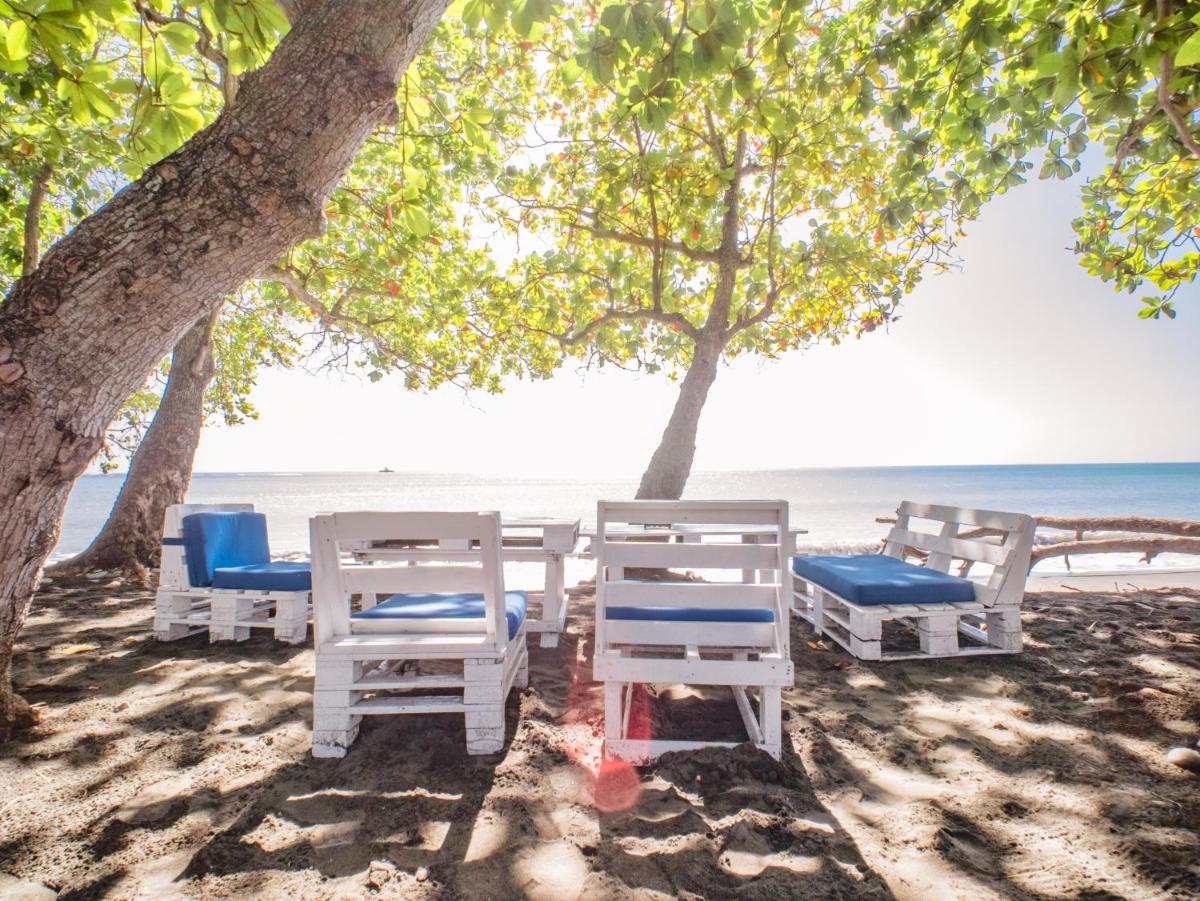 Coconut Paradise Beach Hotel - Housity