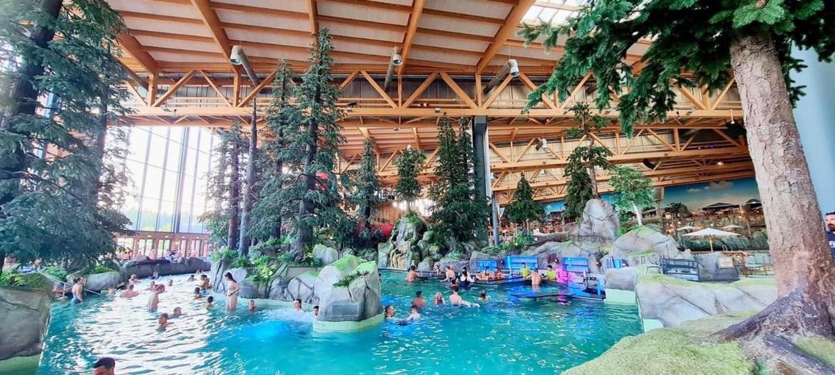 Location grand MH proche europa park 4 personnes - Housity