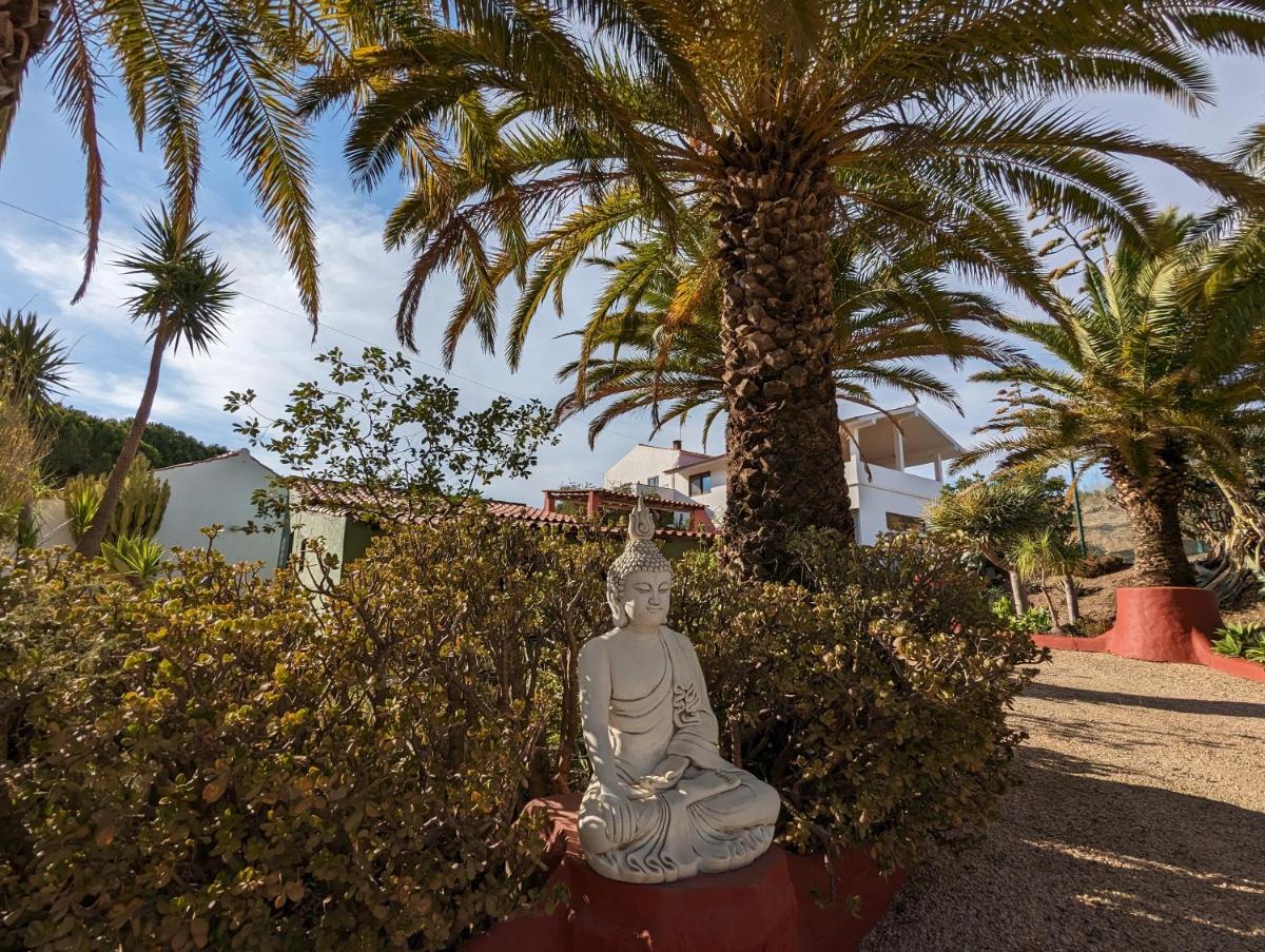 Casa do Palmeiral - Hoom B&B - Housity