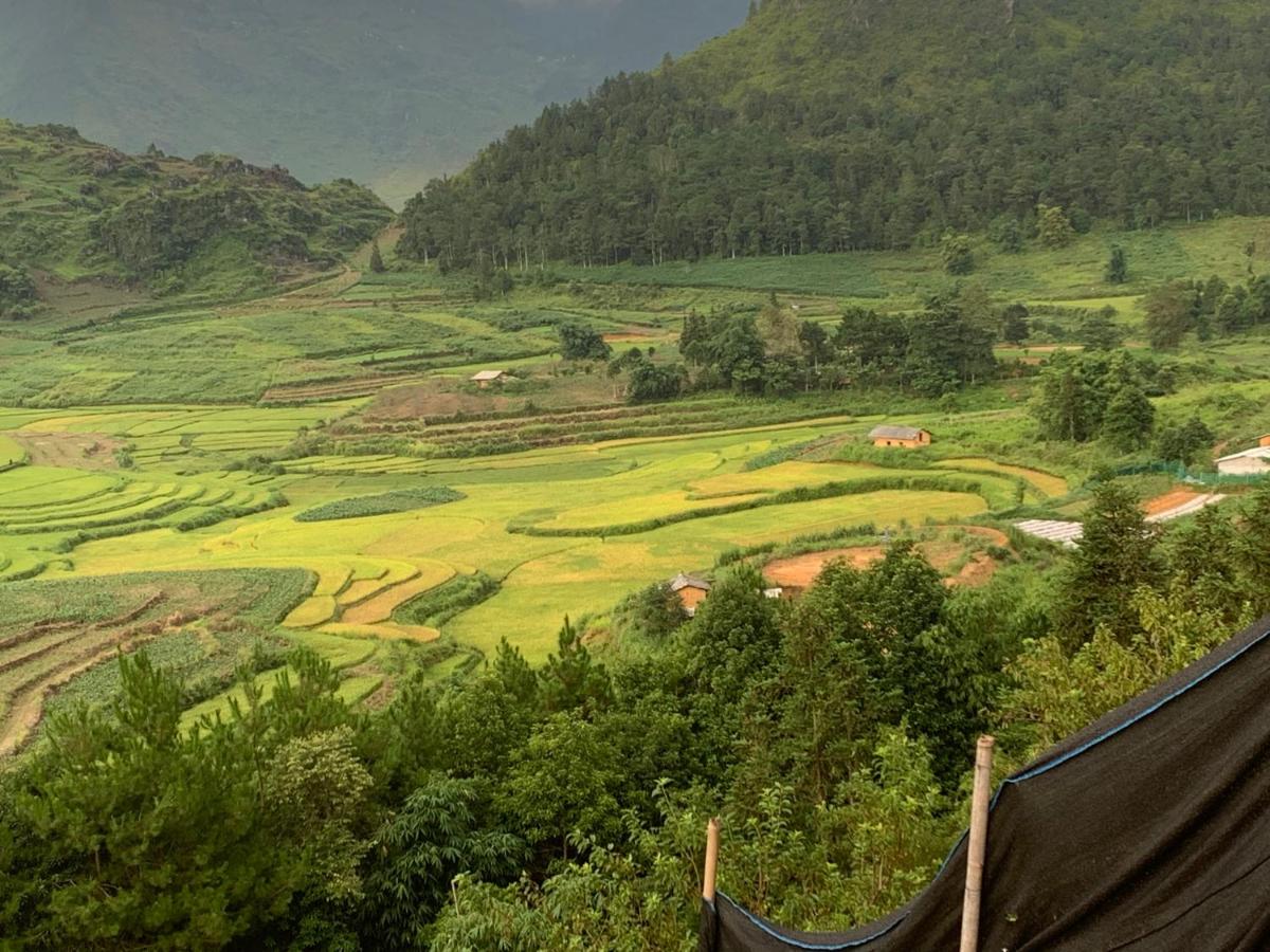 Hoàng homestay - Housity