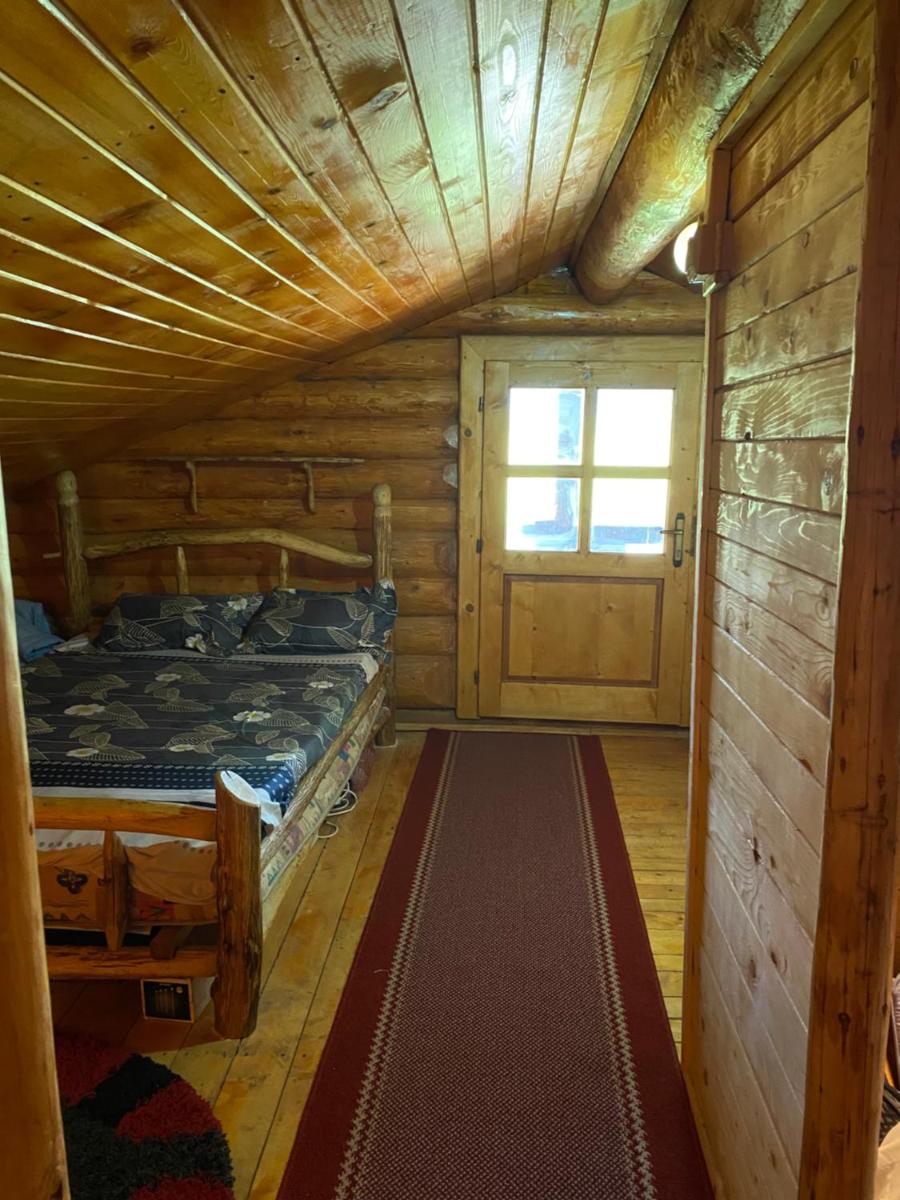 Cabana din Bușteni - Housity