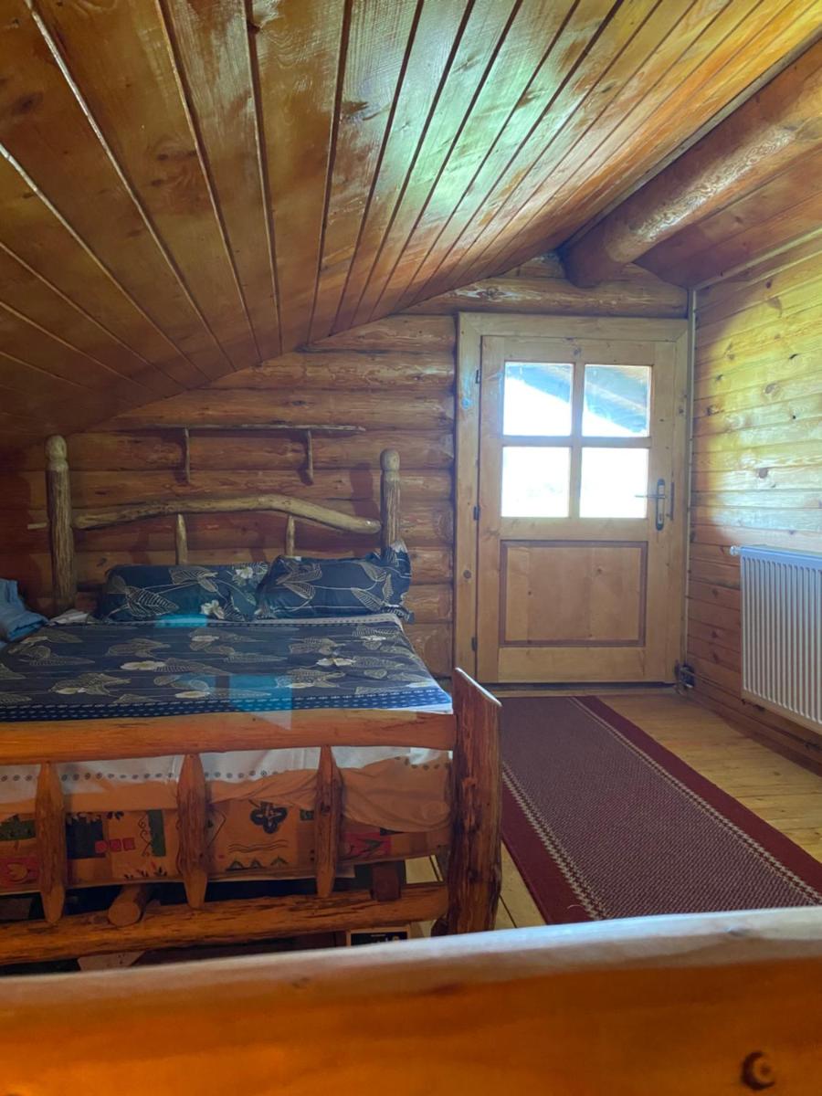 Cabana din Bușteni - Housity