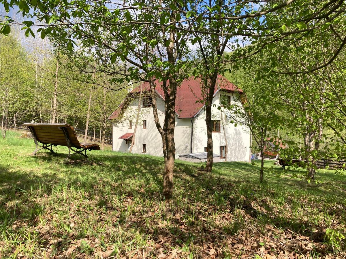 Alina House - Housity