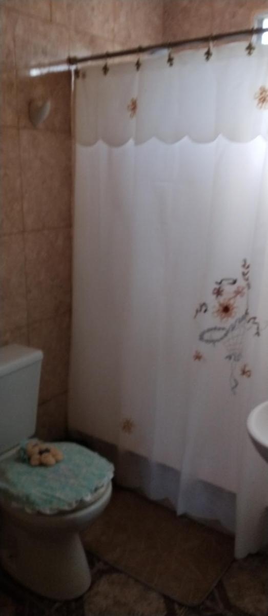 La lechuza - Housity