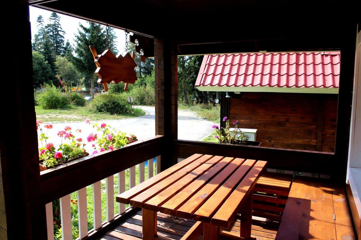Alpine ski chalet Borovets with sauna - Housity