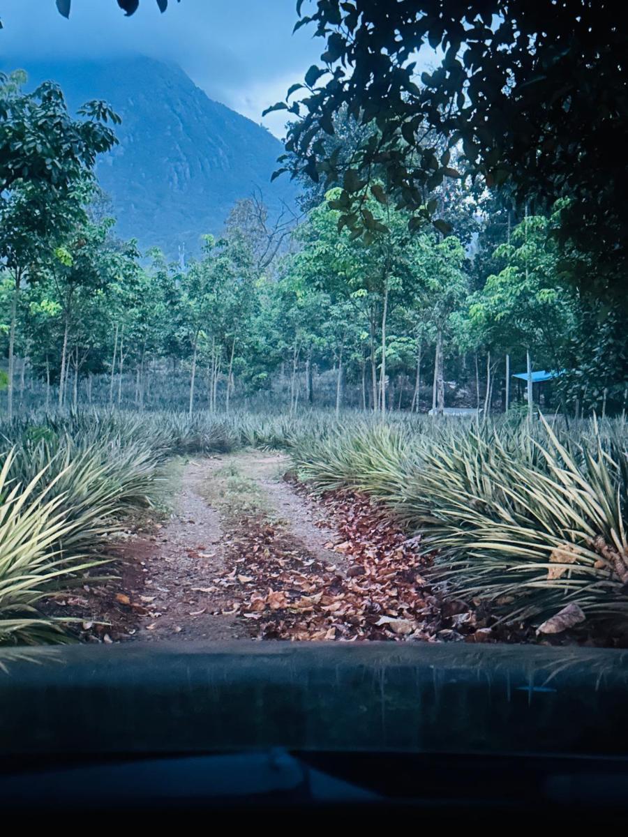 JAGAPRASA Estate - Housity