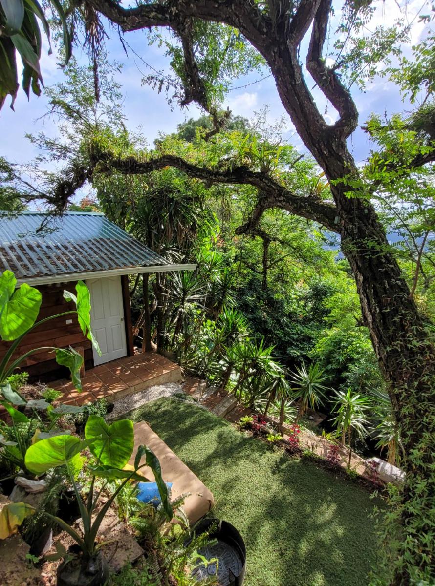 CABAÑAS EN ZONA 16 - Housity