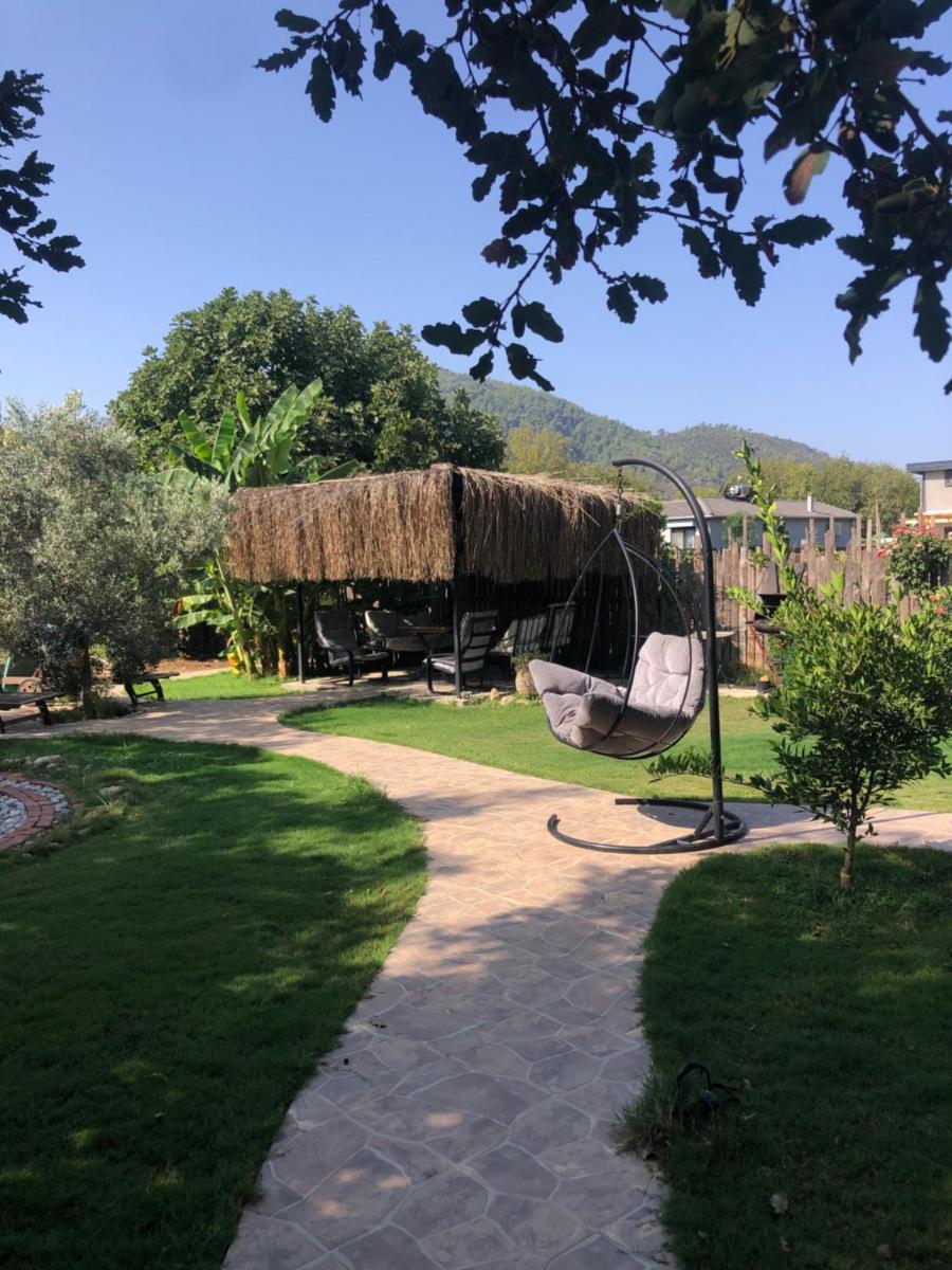 Tiny house kayaköy kumquat - Housity