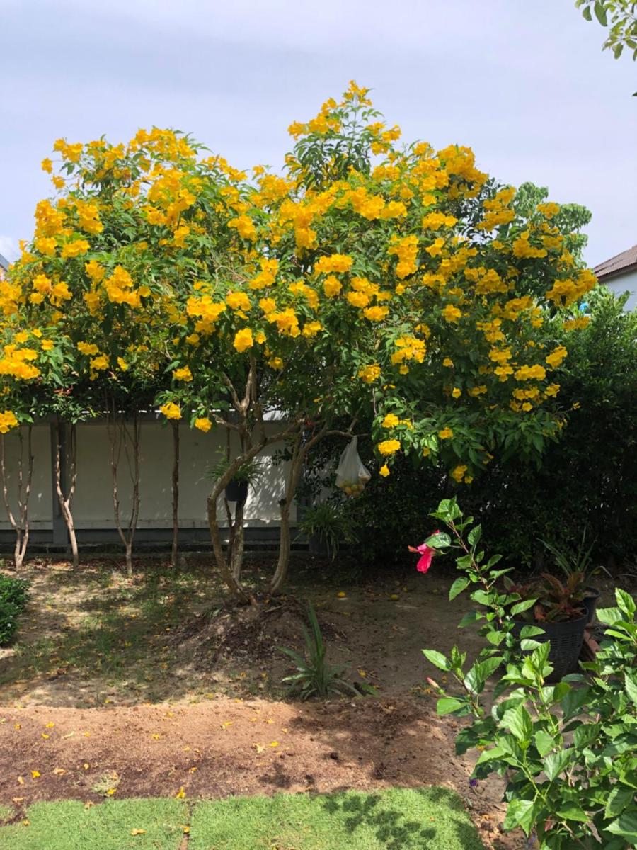 Ban Soi San Sook Homestay - Housity