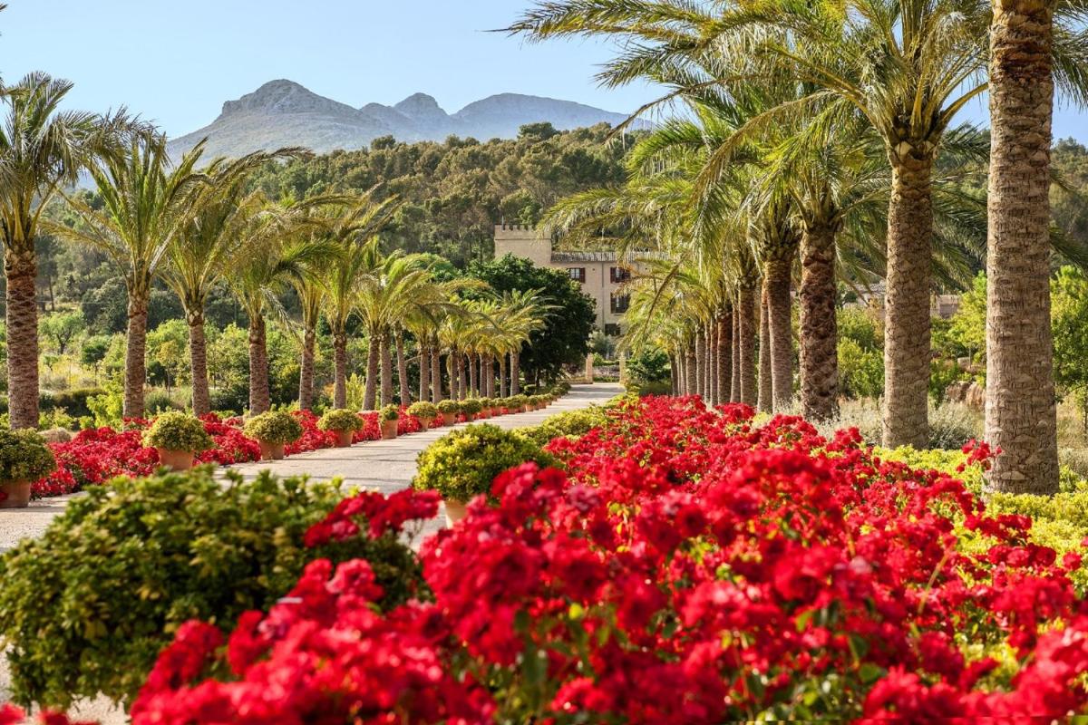 Paisaje cerca de este hotel