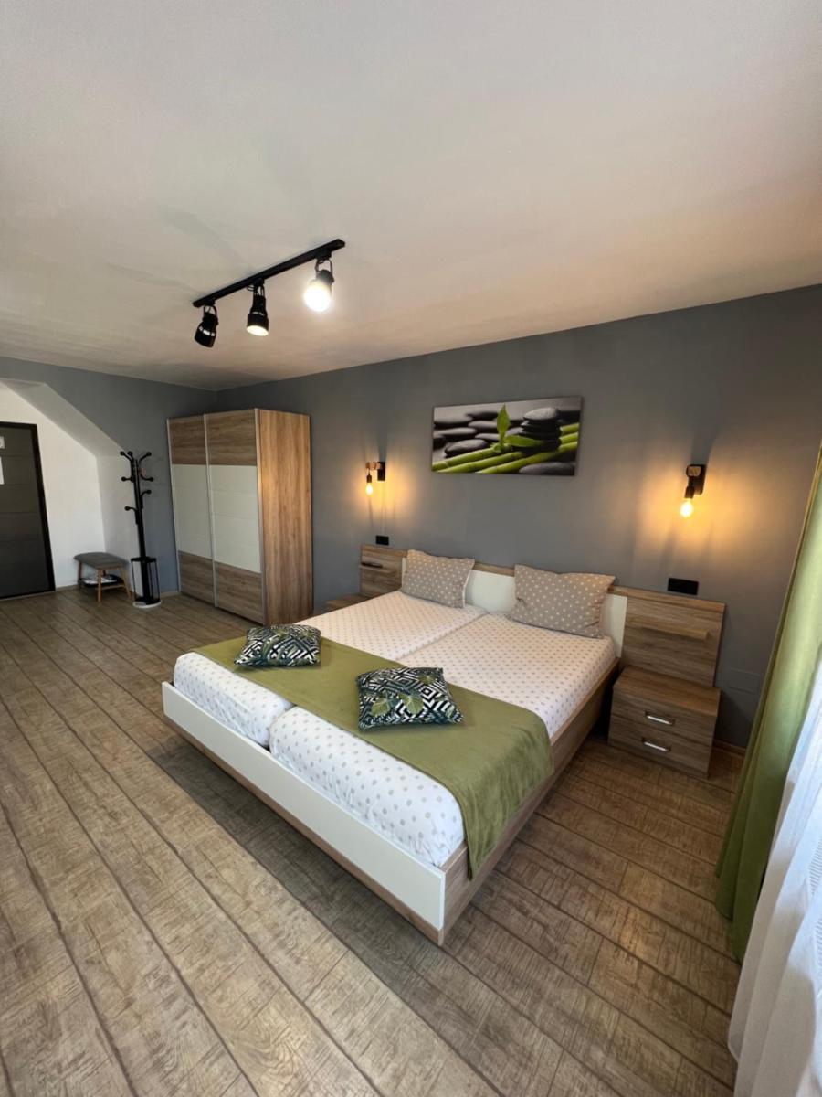 Bruno Apartments - Housity