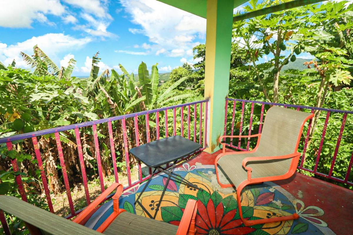 La Casa de Vida Natural - Housity