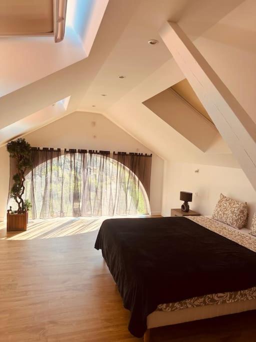 Grand appartement lumineux cosy - Housity