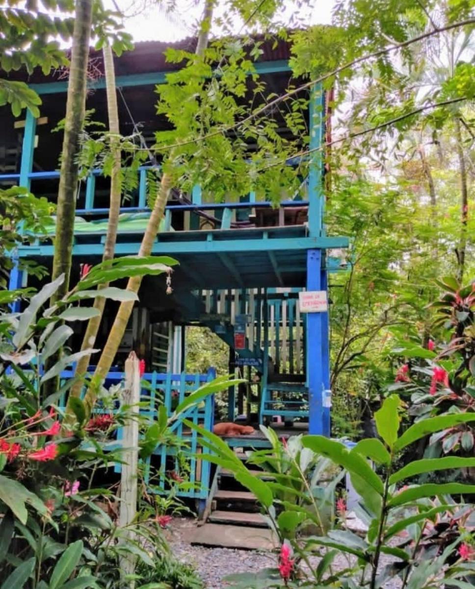 Hostal La Bohemia - Housity