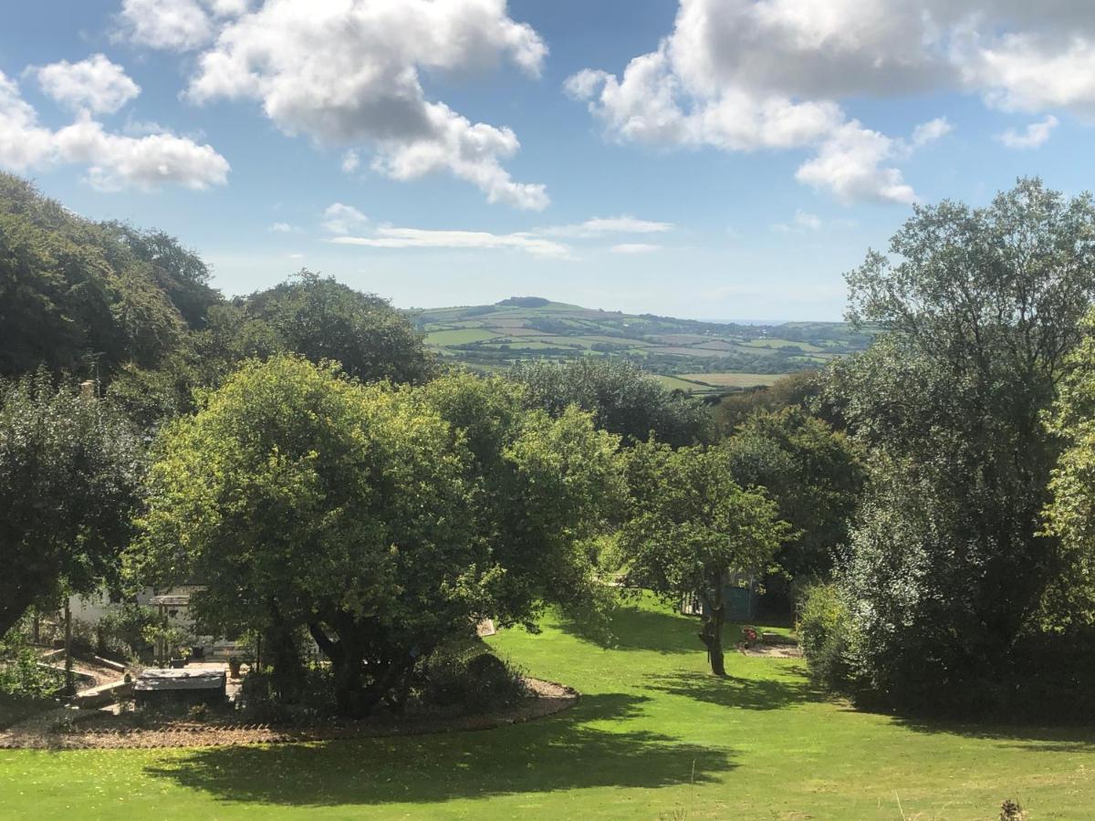 Cosy Shepherds Hut, heating, Hot Tub, WiFi and magnificent view - Housity