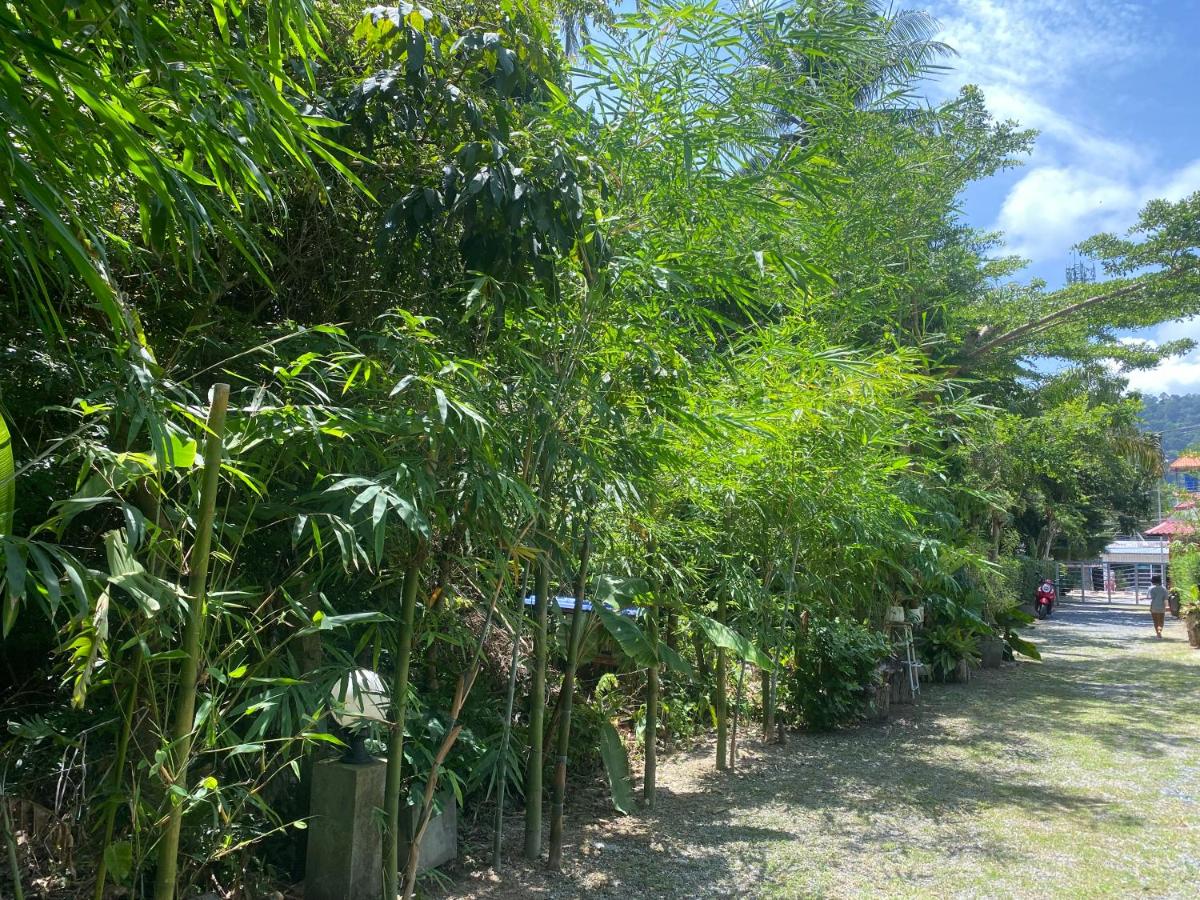 Baan Longhaad - Housity