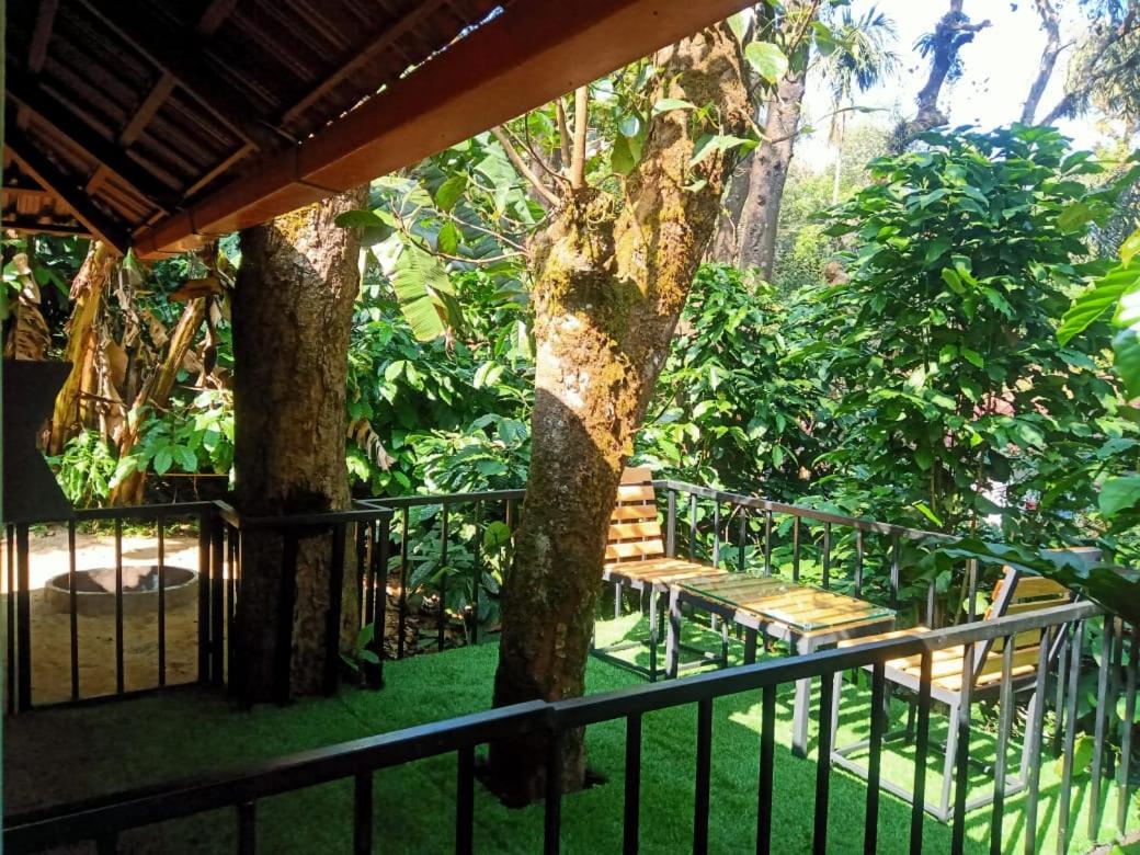 Misty Rain Estate - Housity