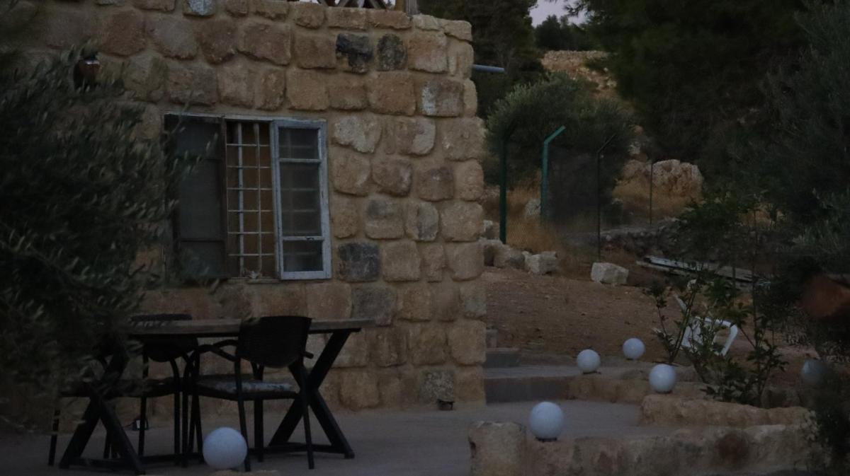 Olive Branch - Housity