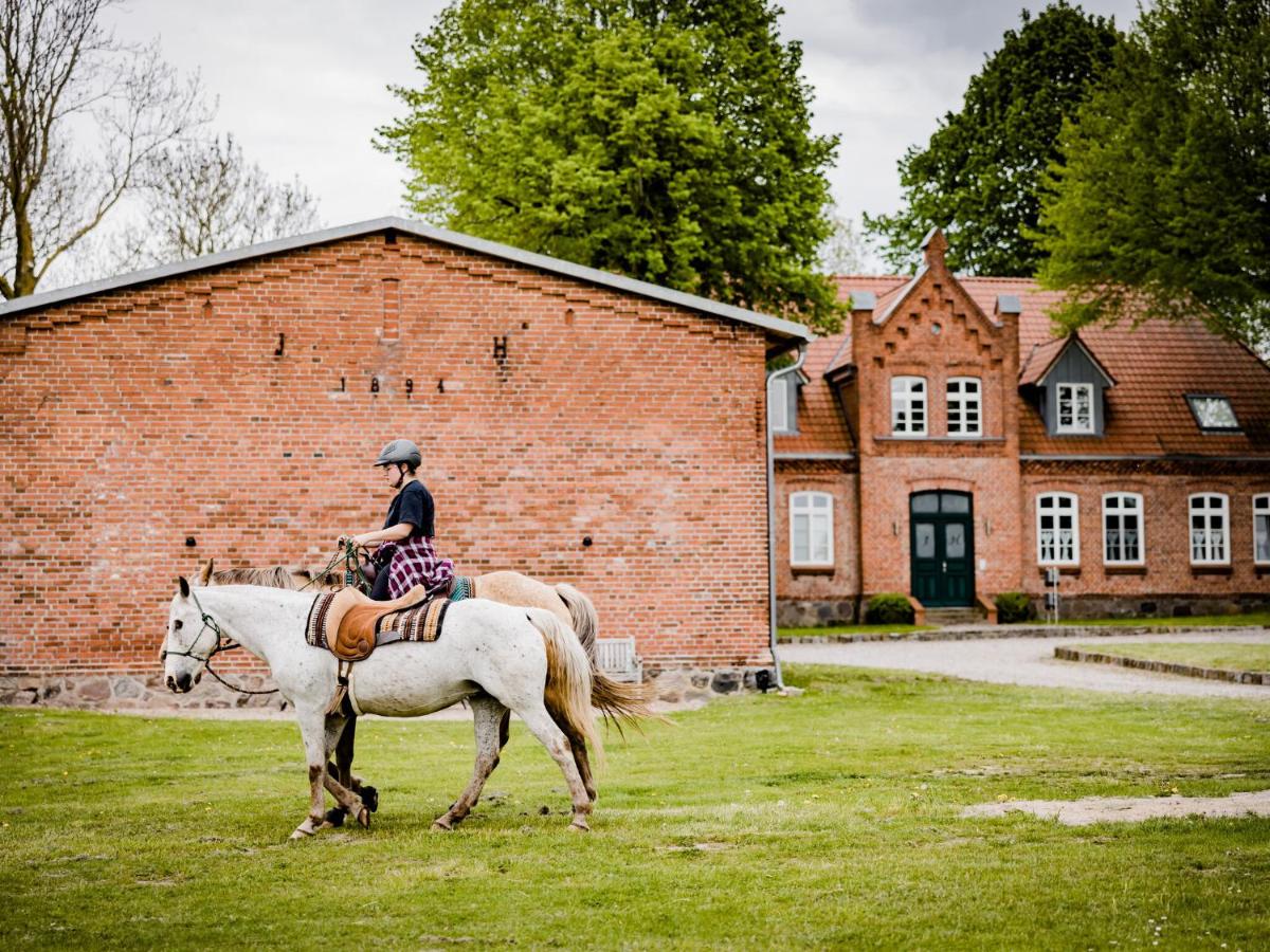 Landurlaub in Lübberstorf - Housity