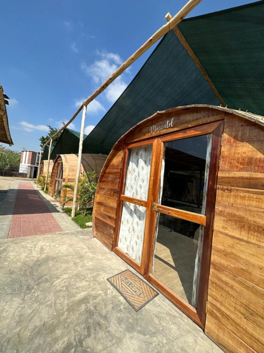 Suitetrails - GLAMPING TONELES Y VIÑEDOS