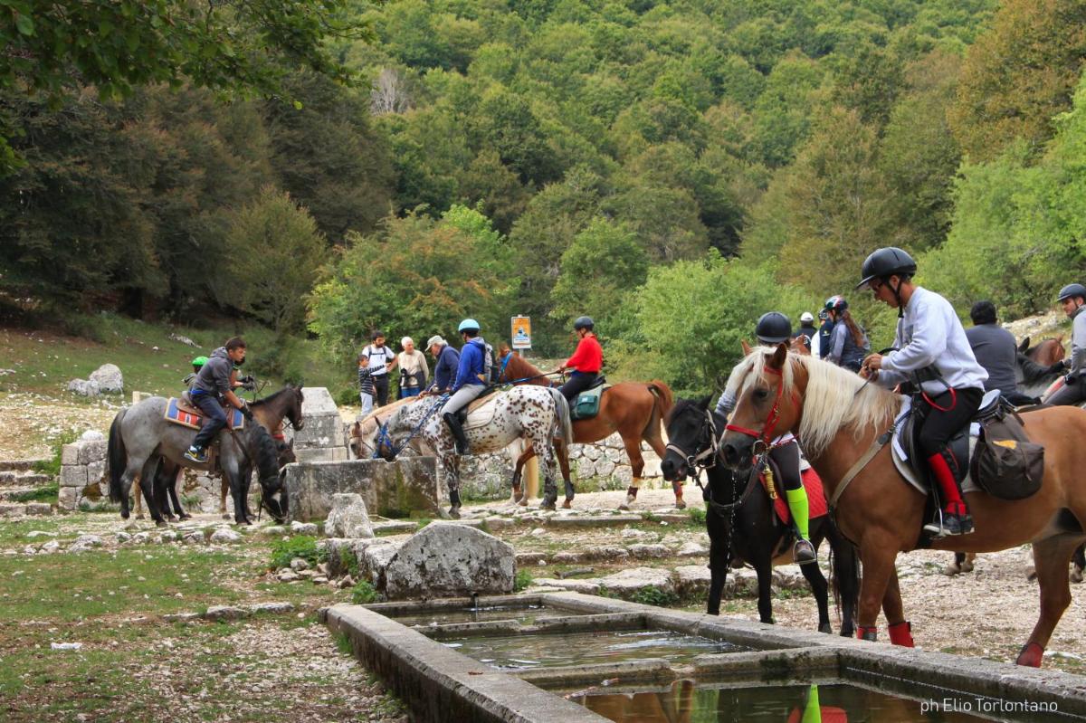Agriturismo Maneggio Vallecupa - Housity