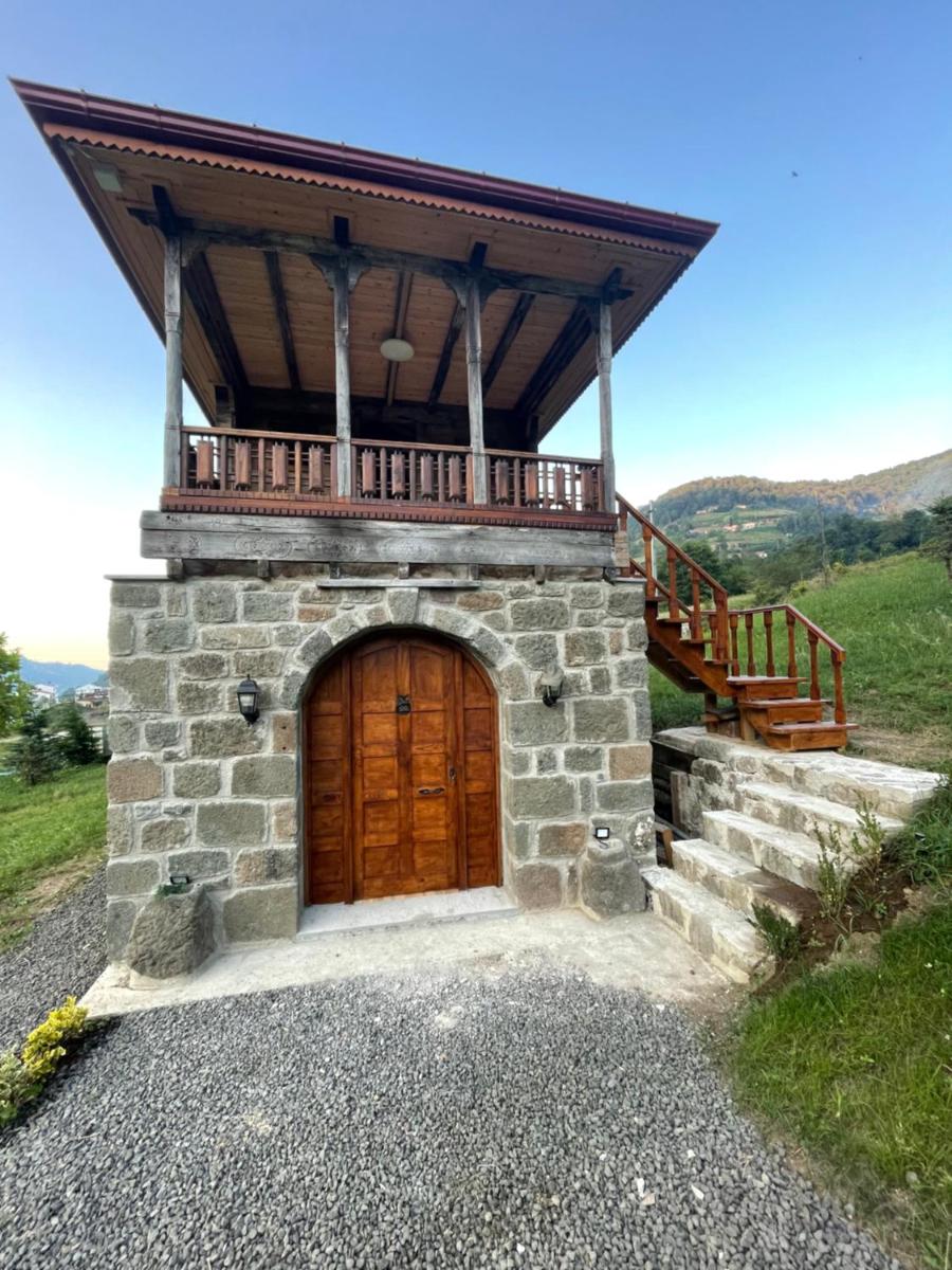 Nero House - Housity