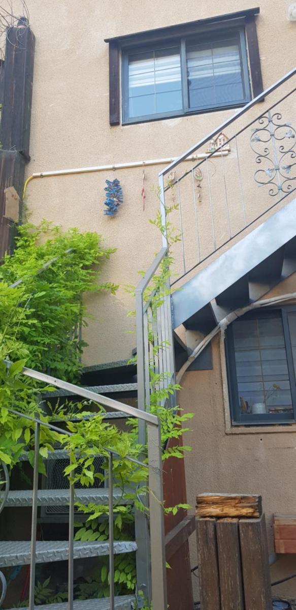 דרך עצי הזית - through the olive tree - Housity