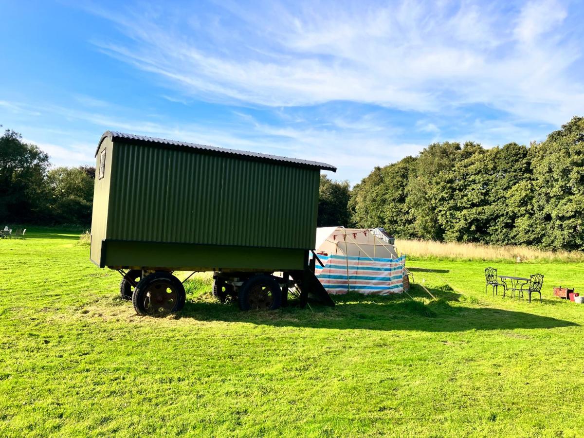 Shepherds Hut, Pickering centre, Glamping hidden meadow - Housity