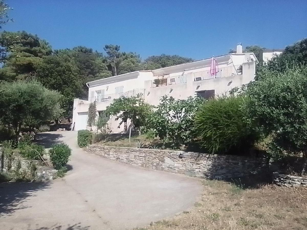 Lavandajo - Housity