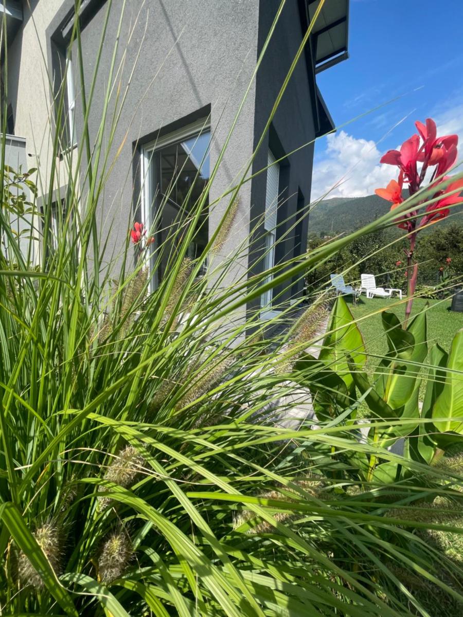 Villa Nature - Housity