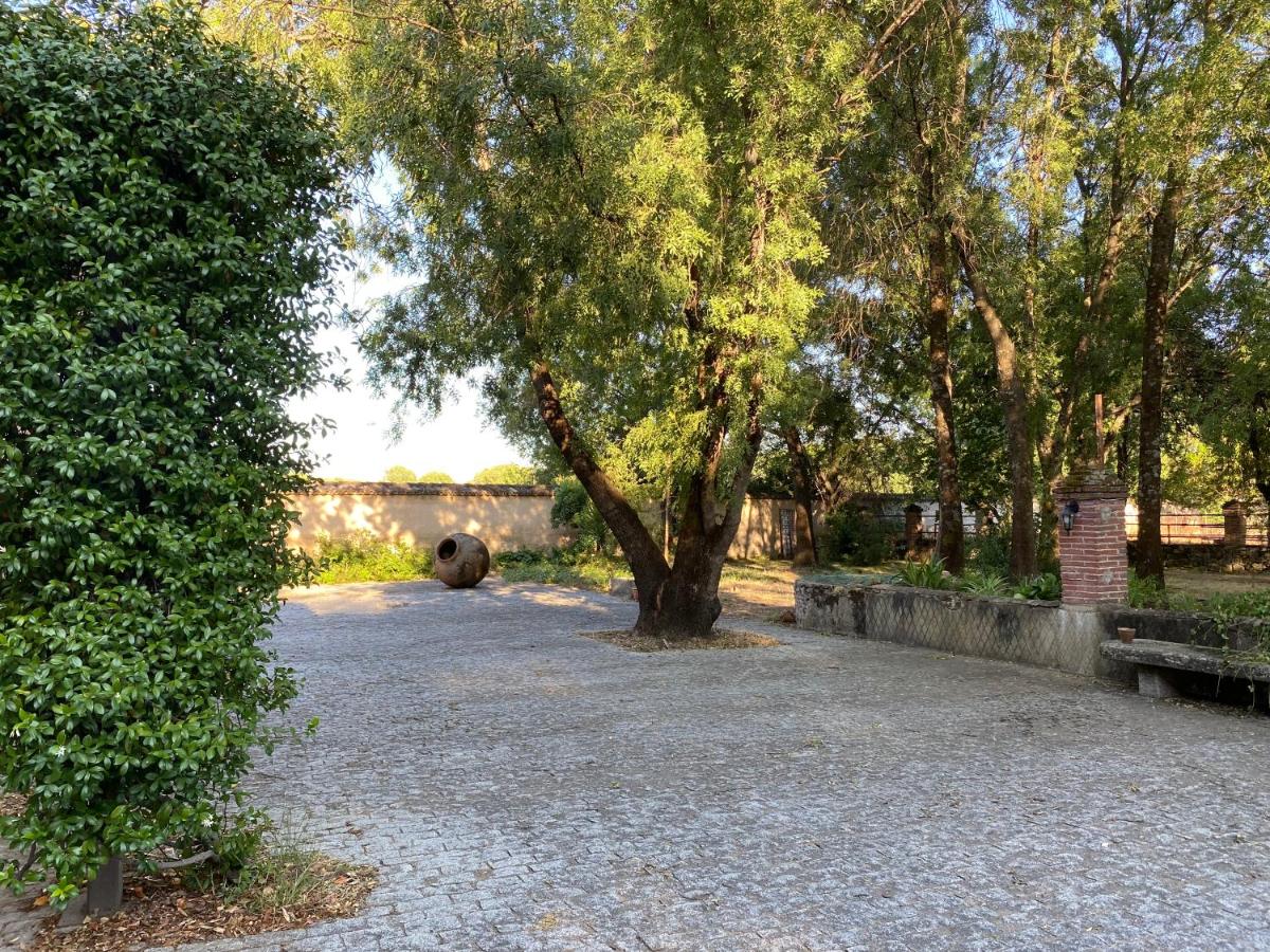 La Resinera - Housity
