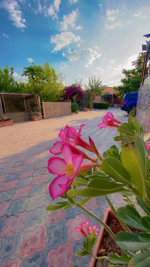 AL Bayan Palms - Housity