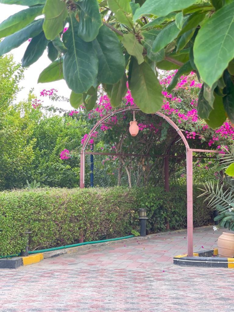 AL Bayan Palms - Housity