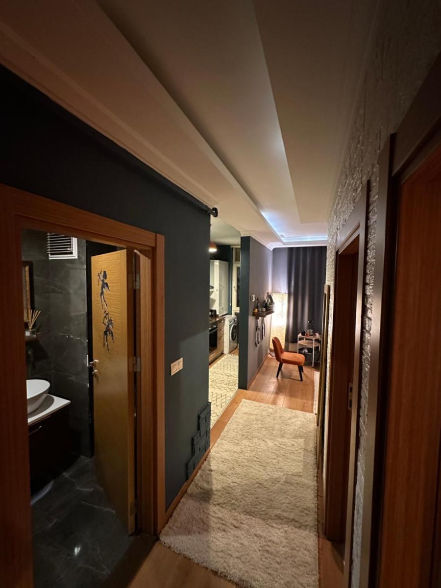 Stylish and spacious house - Housity