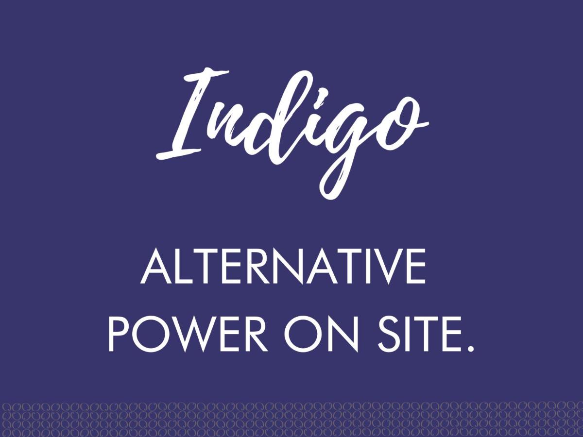 Indigo by The Oyster Collection - Housity