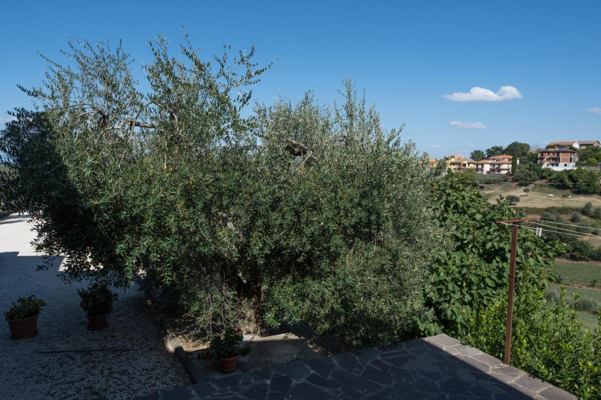 La Casa di Sara - Hizvo