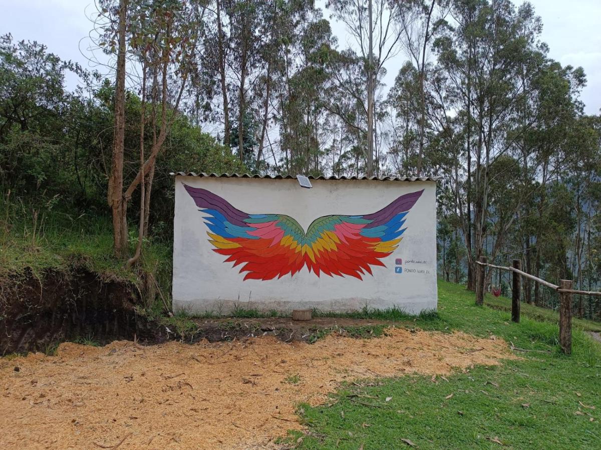 PONDOWASI LODGE - Housity