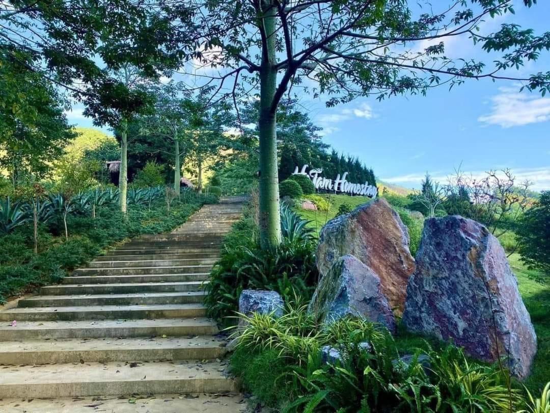 Hồ Tằm Homestay - Housity