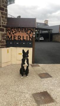 Résidence Merlin Appart des Druides - Housity
