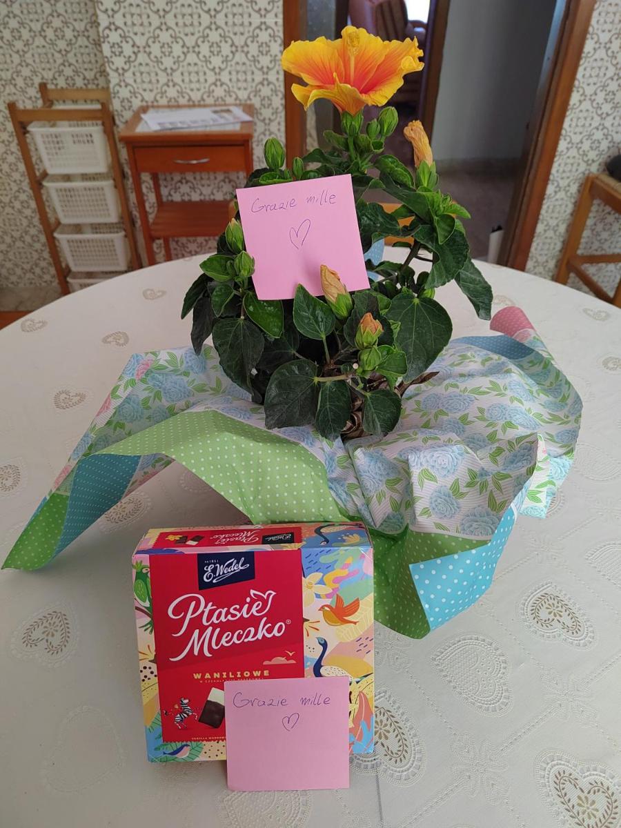 B&B La Finestra Sul Mare - Hizvo