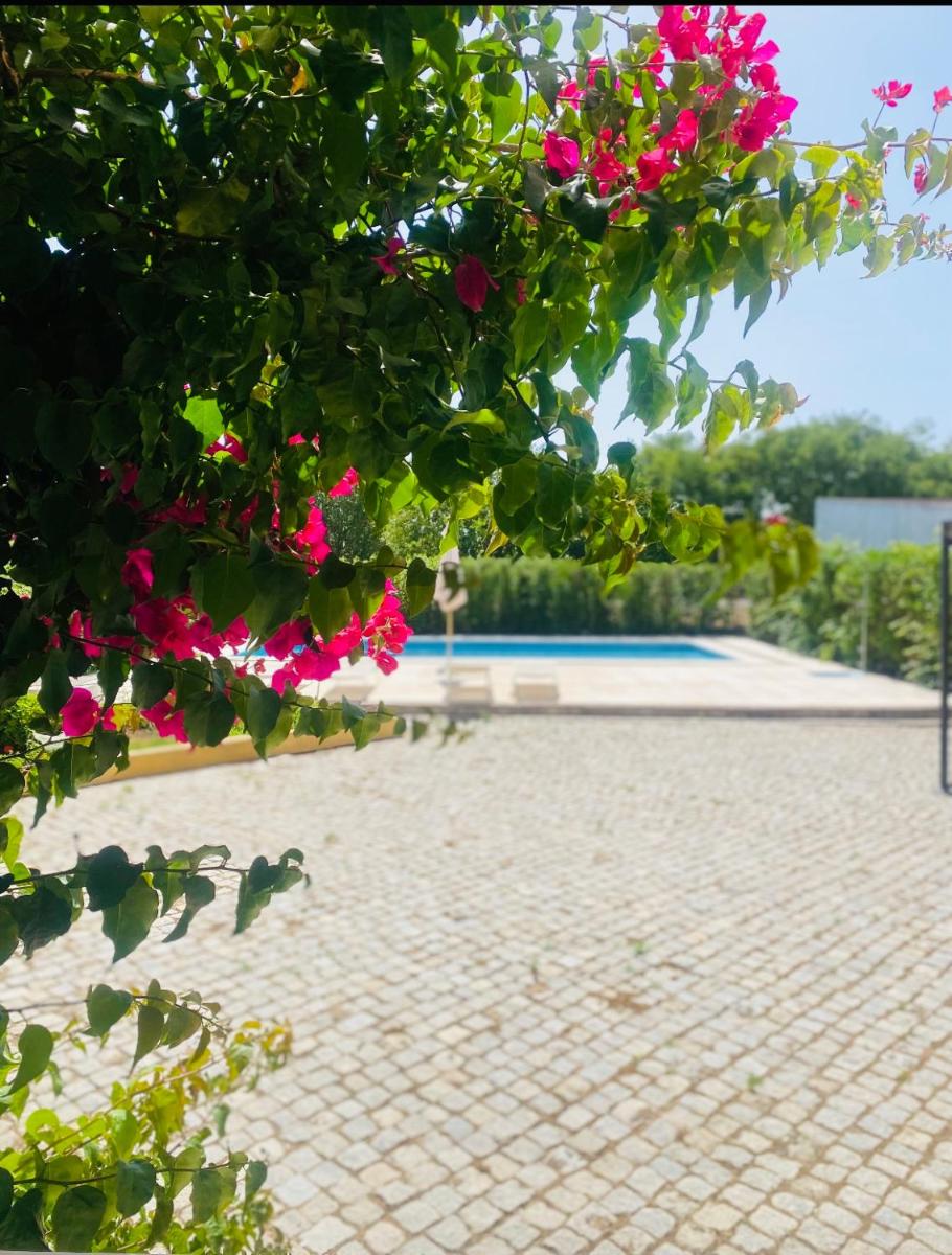 Casa das Clarinhas - Housity