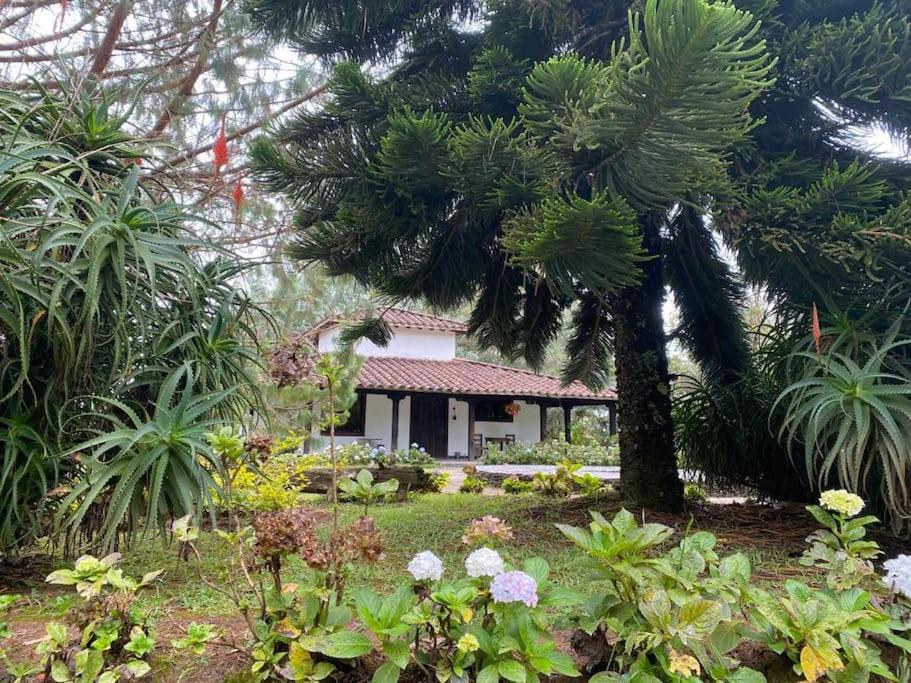 Casa campestre en Oriente de Antioquia con Jacuzzi - Housity