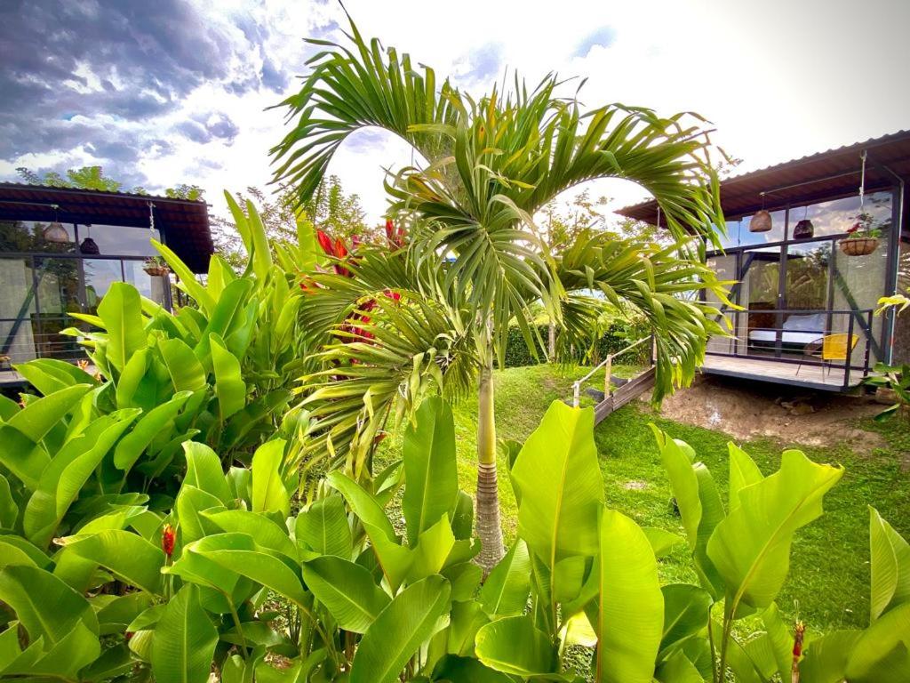 Cabañas Casa Munkala en Cartago - Housity